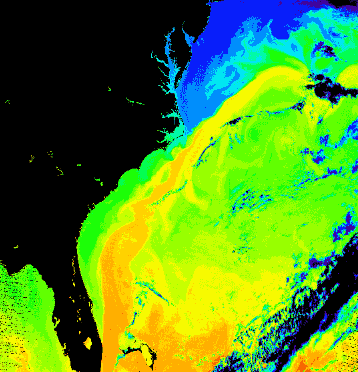 墨西哥湾暖流有什么特点？墨西哥湾暖流对西欧和北欧气候有什么影晌？