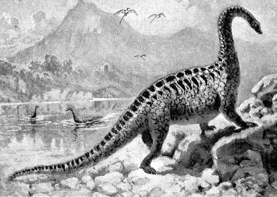 最大的恐龙,易碎双腔龙比长达36米的地震龙还要大