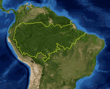 亚马逊热带雨林，世界上最大的热带雨林