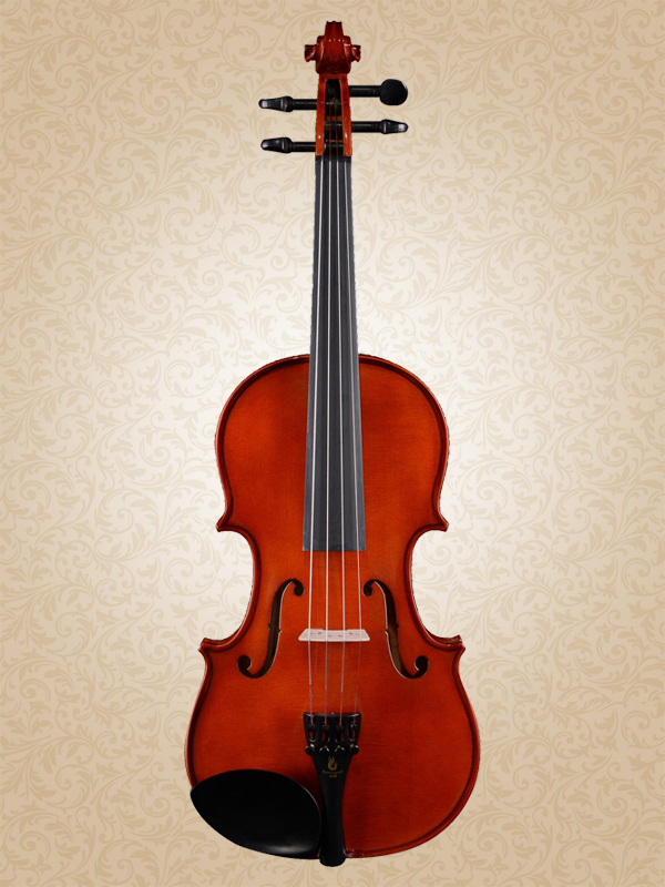 名牌小提琴排行榜-什么牌子的小提琴质量好